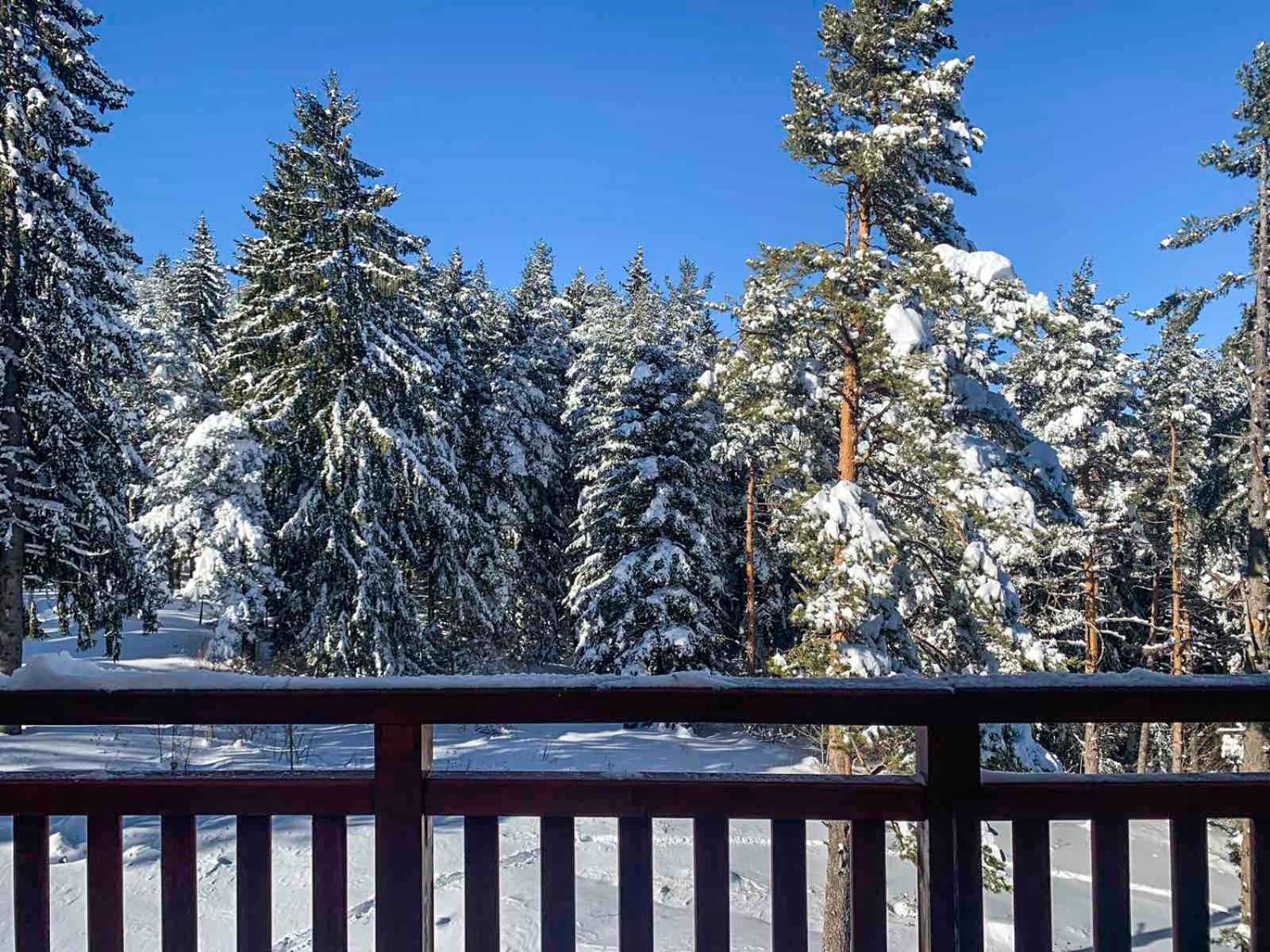 Studios And Apartments - Semiramida Gardens Borovets Exteriör bild